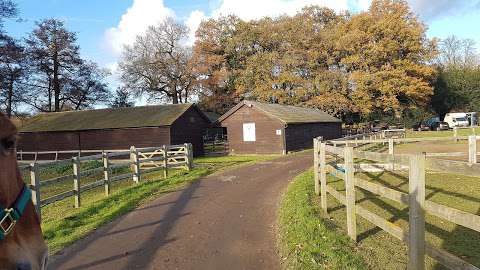 Owlbrook Competition Stables photo